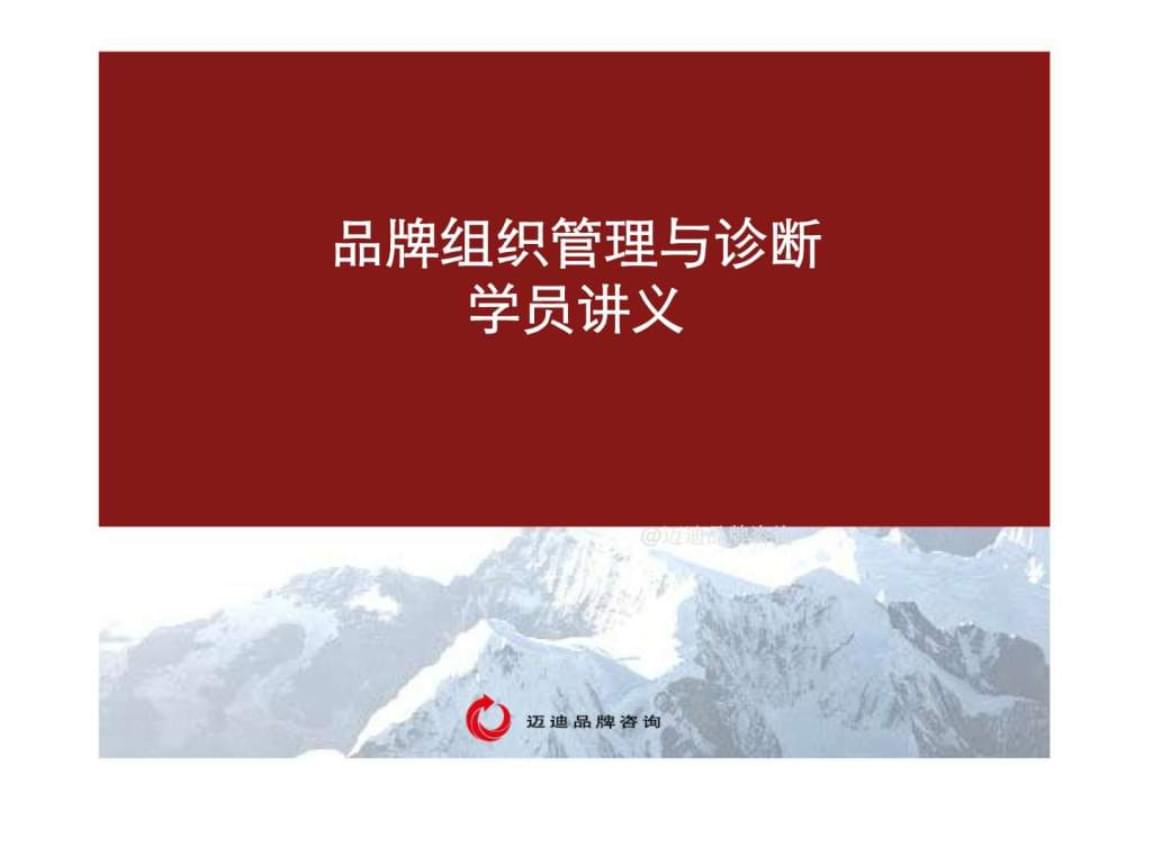 品牌组织管理与诊断 系统化打造高效品牌运作体系