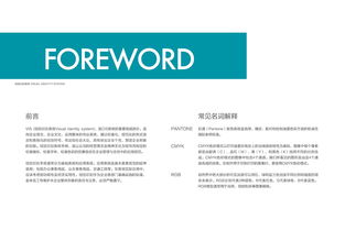 品牌VI设计与软件开发 自由自在品牌管理的双翼